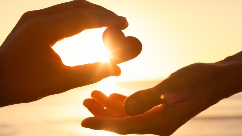 Four Characteristics of the Best Charities to Donate to